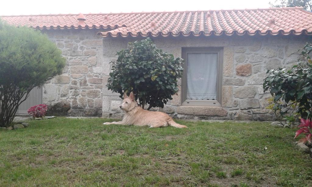 Villa Casa Maria Da Assuncao Vila Nova de Cerveira Zimmer foto